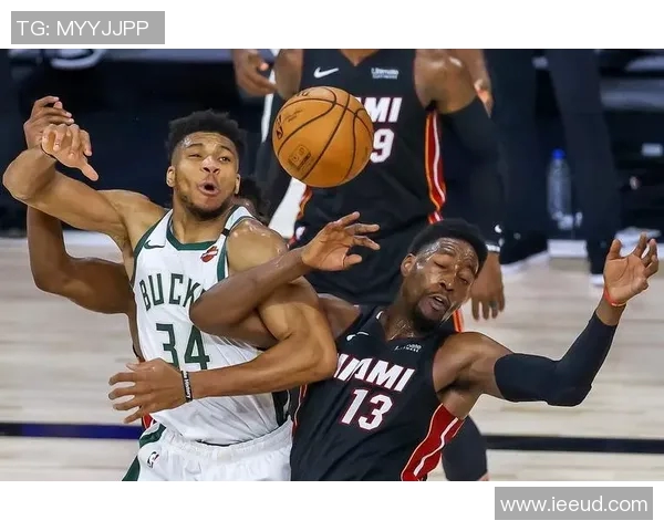 谢什科的传奇人生与篮球梦想的追逐之路