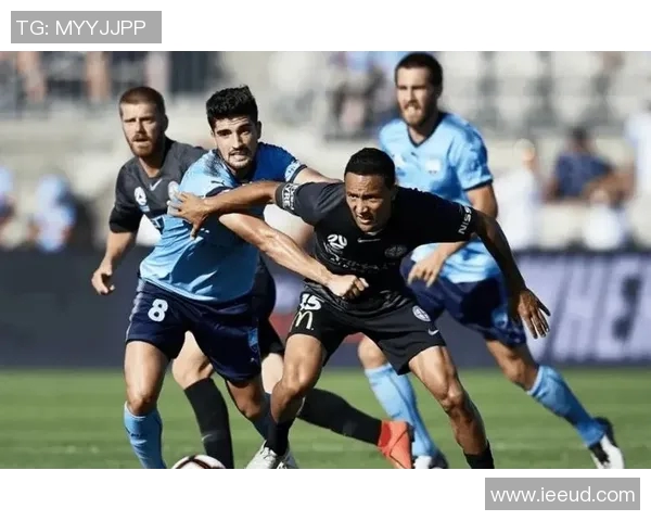 墨尔本城对西部联比赛分析与推荐策略分享