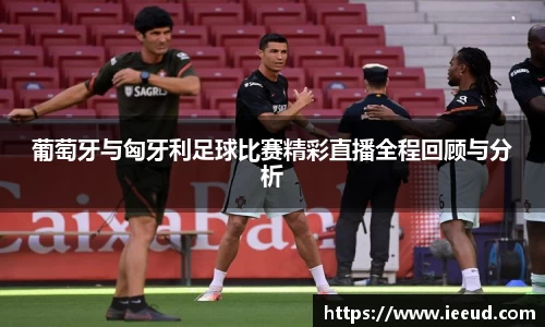芒果体育下载