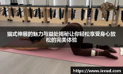 芒果体育下载